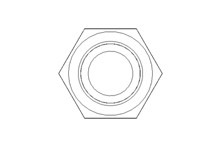 Tornillo cab. hexag. M20x55 A2 70