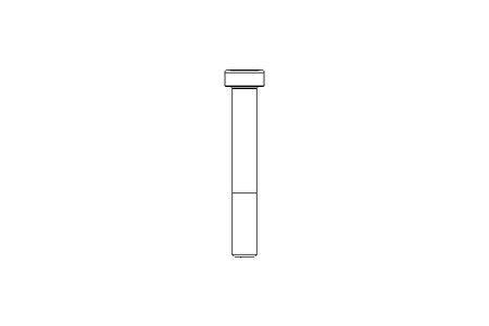 Vis cyl. M10x70 A2 70 DIN6912