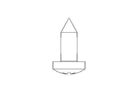 Blechschraube C 4,8x13 A2 DIN 7981