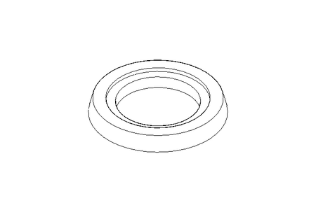 anello di identificazione