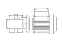 Worm gear motor 0.25kW 199 1/min