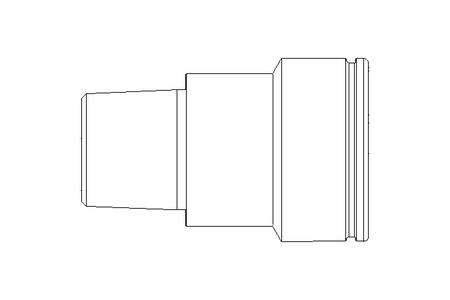 Gewindebuchse gerade R1/4 MS/NI