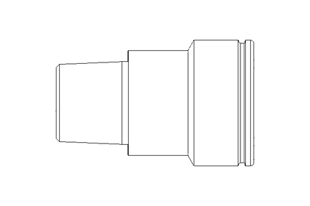 Gewindebuchse gerade R1/4 MS/NI