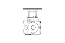 Worm Gear