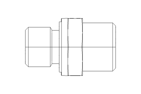 Pipe screw connector L 10 G1/4" 1.4571