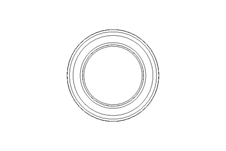 Schauglas DN 80 1.4404