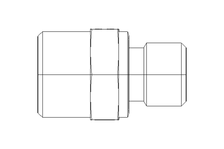 Pipe screw connector L 12 G1/4"