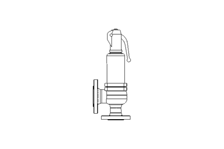 Sicherheitsventil DN32/50