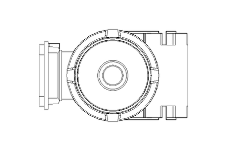 螺杆齿轮速电机 0,55kW 46 1/min