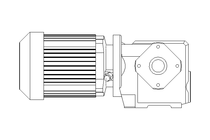 Worm gear motor 0.25kW 199 1/min