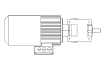 SPUR GEAR MOTOR