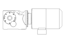 GEAR MOTOR