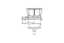 Spur gear