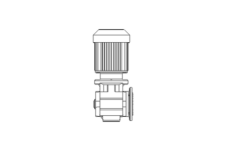 Worm gear motor 0.25kW 45 1/min