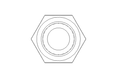 Hexagon screw M12x55 A4 70 ISO4017