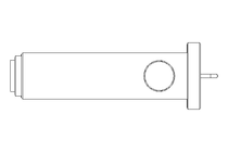 Peneira S-S DN65 AISI 316L EPDM