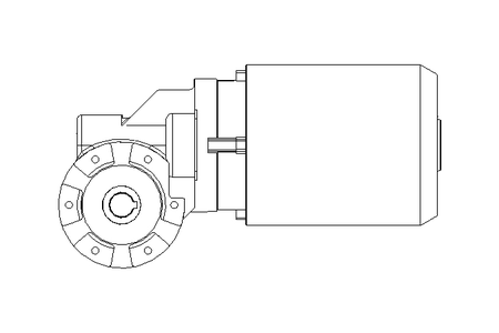 Motore a vite senza fine 0,55kW 56 1/min