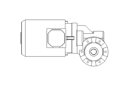 螺杆齿轮速电机 0,55kW 56 1/min