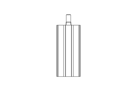 CYLINDER    ADN- 50-100-A-P-A  536309