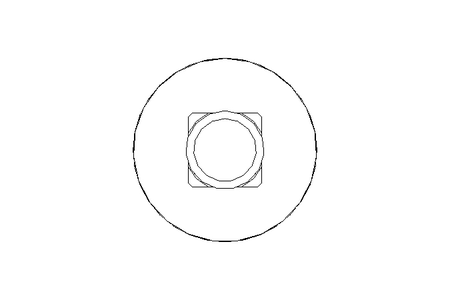 Vis à tête bombée M10x110 A2 DIN603