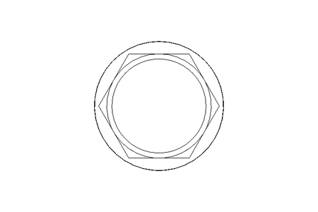 Bouchon GPN1000/1079 SW=36