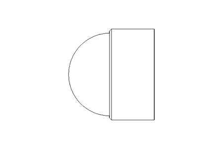 Bouchon GPN1000/1079 SW=36