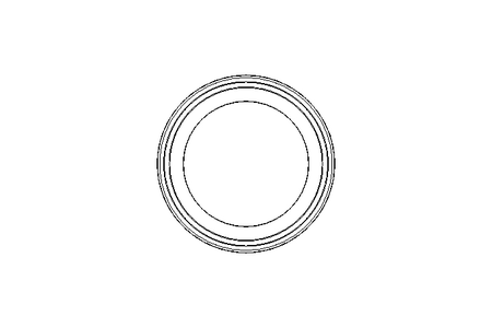 Clamp-Dichtung DN65 Gylon 3504 DIN 32676