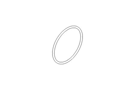 Guarnizione O-ring 113,67x5,33