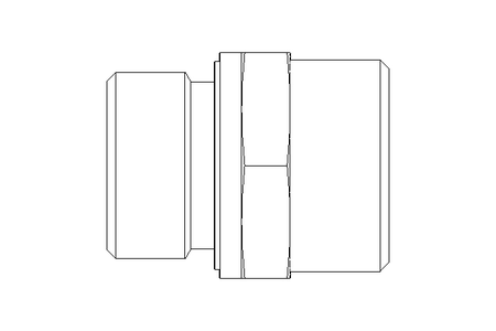 Raccordo a vite L 22 G3/4" St ISO8434