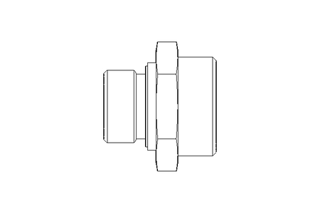 Raccordo a vite L 28 G3/4" St ISO8434