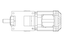 Spur gear motor 1.1kW 120 1/min