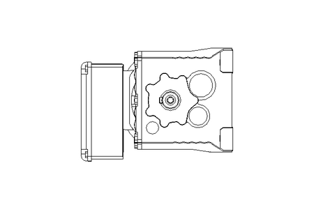 Spur gear motor 0.37kW 29 1/min