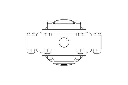 Scheibenventil B DN080 WVW AA E