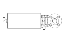 Válvula borboleta B DN025 FVF AA E