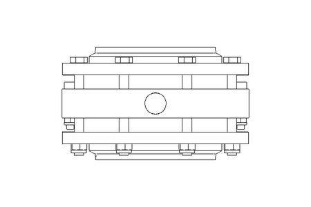 Valvola a farfalla B DN100 FVF AA E