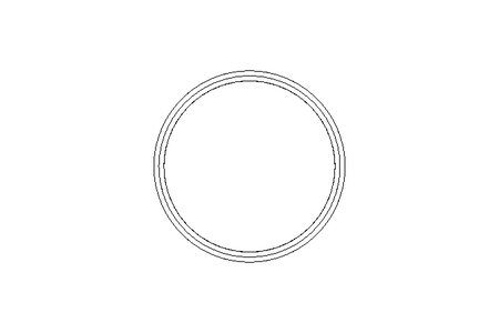 SEALING RING   DN80