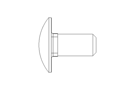 Vis à tête bombée M12x25 A2 DIN603