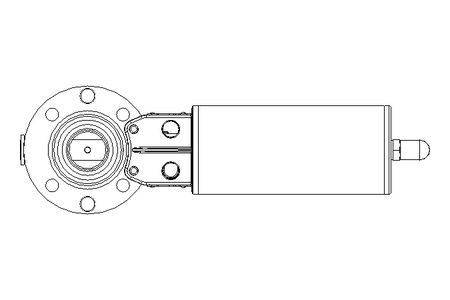 BUTTERFLY VALVE