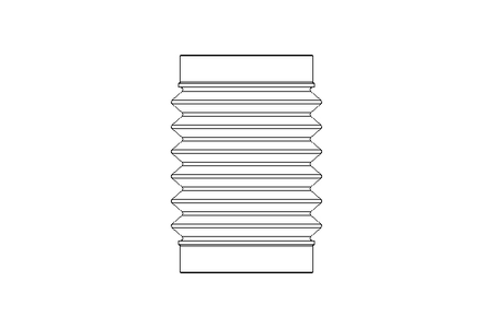 SOUFFLET / ACCORDEON