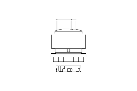 Rotary switch