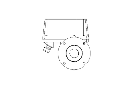 Schwebekörper-Durchflussmesser DN65