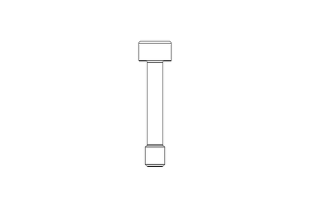 Tornillo de cab.cilínd. M6x33 A2 70