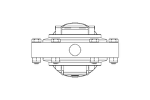 Butterfly valve B DN080 WVW NC E EX