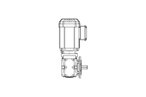 Worm gear motor 0.55kW 72 1/min