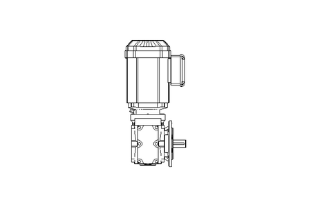 Worm gear motor 0.55kW 72 1/min