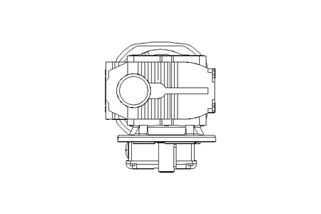 Worm gear motor 0.55kW 72 1/min