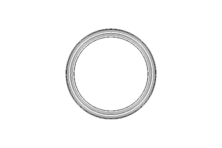 Nutring RS01A 38x46x7 PUR