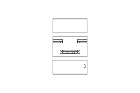 Rotex-Kupplung GS 19 1.0 17 - 20