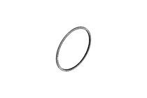 Anello di tenuta Glyd Ring TG32 180x191