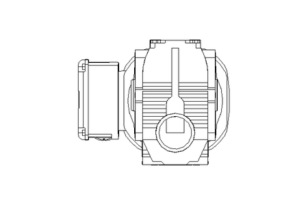 Schneckengetriebemotor 0,55kW 50 1/min